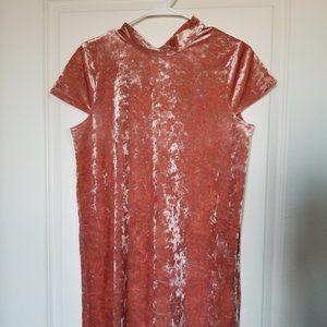 Madewell Velvet Pink Dress